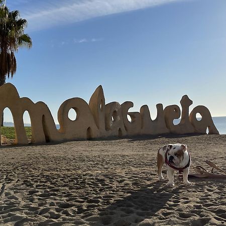 Apto Boutique En La Malagueta Малага Экстерьер фото